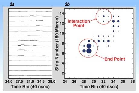 Image Formation