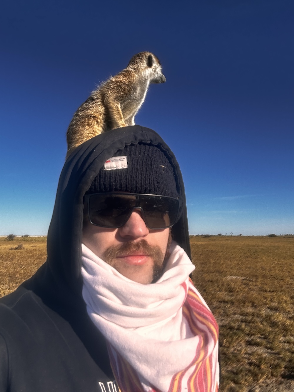 Makgadikgadi Salt Pans in Botswana. The meerkat is sitting on his head to have a better vantage point.