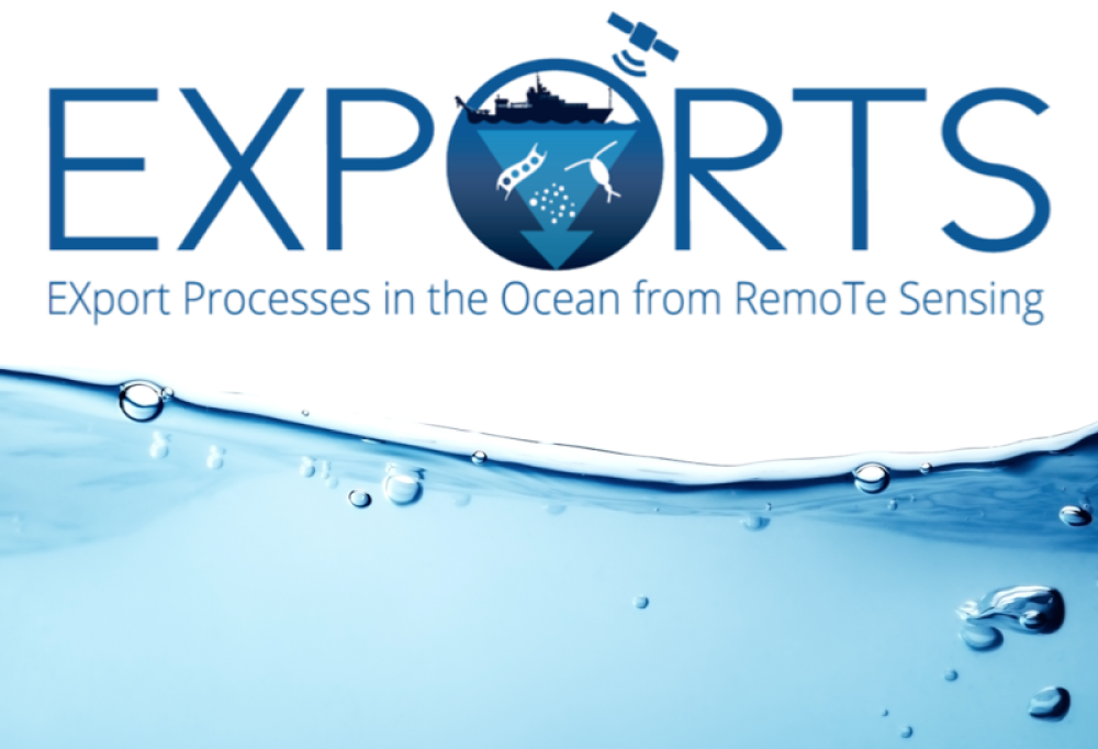 EXPORTS logo