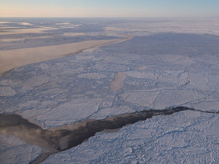 Thumbnail image of sea ice